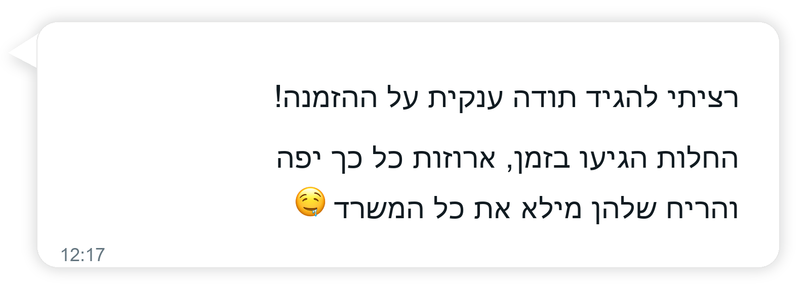 המלצת לקוח